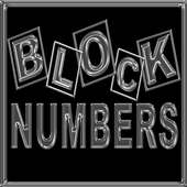 Block Numbers