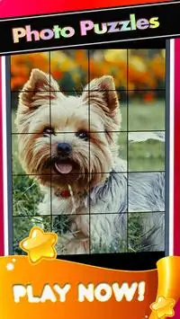 Puppies Yorkshire Pictures-Dog Animal Puzzle Game Screen Shot 2