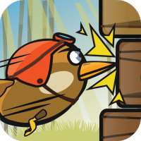WoodPecker : Bird Dash
