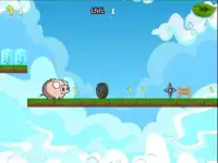 Angry Piggy Screen Shot 4