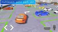 Gerçek araba Otopark usta 3D Screen Shot 4