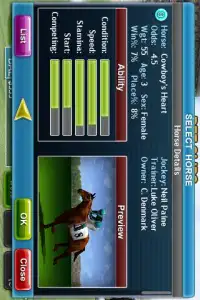 Virtual Horse Racing 3D Screen Shot 2