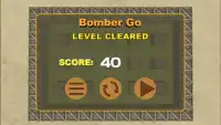 Bomber Go Screen Shot 10