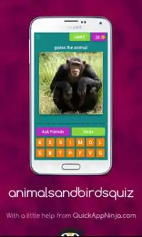 Quiz : animals and birds Screen Shot 1