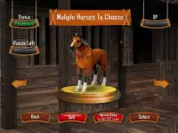 Horse Racing 2016 3D Screen Shot 10