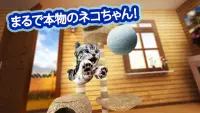 キャットシミュレーター Cat Simulator Screen Shot 4