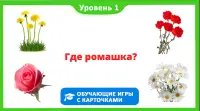 Фрукты овощи ягоды для детей Screen Shot 2