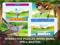 Vogels Puzzels voor kinderen Screen Shot 7