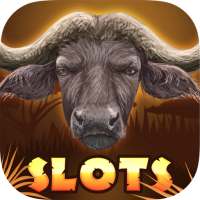 Safari Animals Slots Free