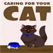 Caring for Cat-cat android app