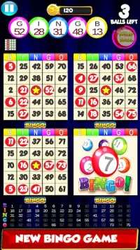 Bingo: New Free Cards Game Vegas and Casino Feel Screen Shot 2