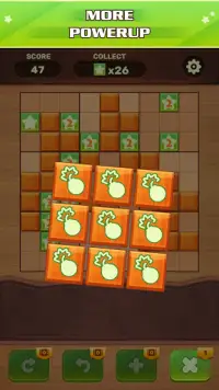Tetra Wood Block Mania - Puzzle Game Free! Screen Shot 4
