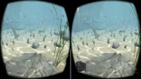 Sea Adventure VR Caribbean Treasure Screen Shot 7
