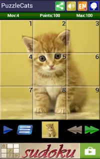 Sliding Puzzle Cats Screen Shot 0