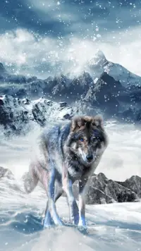 Ice Wolf Live Wallpaper Screen Shot 2