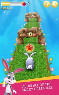 Bunny Run - Bunny Rabbit Game Screen Shot 0