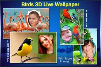Birds 3D Live Wallpaper Screen Shot 10