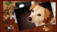 Puzzle Rompecabezas Dogs (Offline) Screen Shot 3