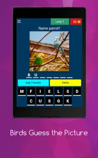 Bird Quiz: Feather Fun Trivia Screen Shot 9