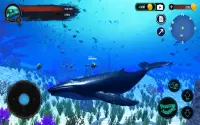 The Humpback Whales Screen Shot 22