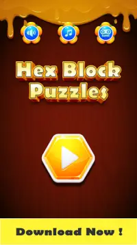 Hex Block Puzzles Screen Shot 4