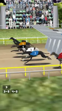 Simple Greyhound Racing Screen Shot 2