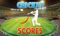 Indo Pak Live Cricket Scores Screen Shot 1