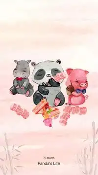 Panda's life Screen Shot 2