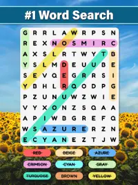 Word Search : Word Find Screen Shot 3