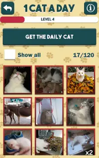 1 Cat a Day Screen Shot 8