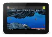 Wonder Fish Jogos Grátis HD Screen Shot 19