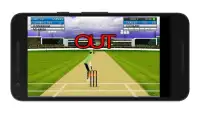 Cricket Mini Simulator Screen Shot 10