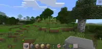Minicraft: Mini Block Craft Screen Shot 0