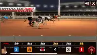 Greyhound Dog Racing Simulator Screen Shot 2