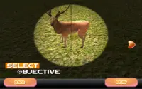 Jungle Hunting Sniper 2020 Screen Shot 21