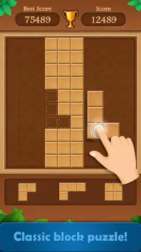 Wood Block Puzzle Screen Shot 4