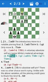 Encyclopedia Chess Informant 3 Screen Shot 0