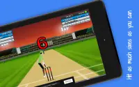 Cricket World Cup Mini Screen Shot 8