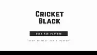 Cricket Black - Cricket Game Screen Shot 3