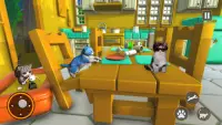 Cat Sim Offline Pet Cat Games Screen Shot 2