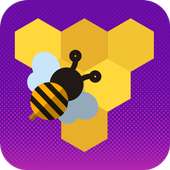 Brilliant Bee
