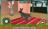 Pet Rabbit Vs Dog Attack 3D Screen Shot 1