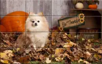 Tile Puzzle Pomeranian Dogs Screen Shot 0