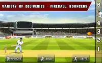 Tap Cricket 2013 Screen Shot 8