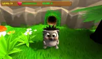 Hedgehog goes home Screen Shot 7