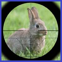 La caza del conejo 3D