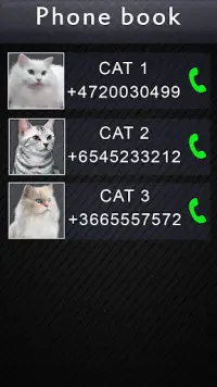 Fake Video Call Cat Screen Shot 1