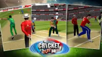 Cricket Giocare 3D Screen Shot 3