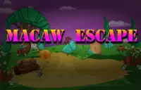 Macaw Escape Screen Shot 2