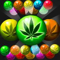 Marihuana-Farm & Blasen. Match 3 Artikel